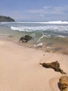 Waves, coral reef, stone and sky