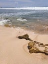 Waves, coral reefs, soil, and sand