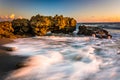 Waves and coral at sunrise in the Atlantic Ocean at Coral Cove P