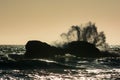 Waves crash against the rocks at sunset at Rialto Beach, Washington, US Royalty Free Stock Photo