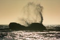 Waves crash against the rocks at sunset at Rialto Beach, Washington, US Royalty Free Stock Photo
