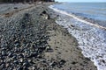 A windy winter day at a Pacific Northwest beach Royalty Free Stock Photo