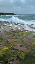 Waves crashing on cliffs, Ireland Aran Islands, Inishmore green algae