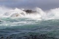 Waves crashing on rocks with sea lions in the storm in South Africa Royalty Free Stock Photo