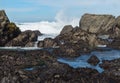 Waves crashing on the rocky Mendocino coast