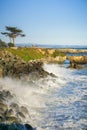 Waves crashing on the rocky shoreline of the Pacific Coast; Santa Cruz, California