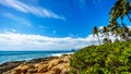 Waves crashing on the rocky shoreline and palm trees swaying in the wind under blue sky Royalty Free Stock Photo