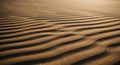 Waves of fine, golden-brown sand create a mesmerizing pattern of parallel ridges in a desert Royalty Free Stock Photo