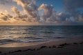 Waves gently hitting fine sand shore. Beach covered with dead algae Royalty Free Stock Photo