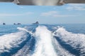 The waves from a high-speed boat and island background,selective focus Royalty Free Stock Photo