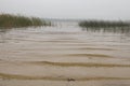 Waves on the lake, rain, mist, autumn (ozero Peremut, Ukraine) Royalty Free Stock Photo