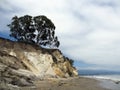 Waves lap on the beach next to cliff with tree on top Royalty Free Stock Photo