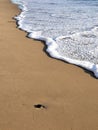 Waves lapping against sand on the California coast. Sea foam and sandy beaches in summer sunlight for travel blogs, website banner