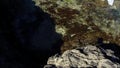 Waves lapping onto rock with seaweed in clear seawater and negative space.