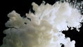 Waves of milky ink and splashes of white paints in the water. White abstract background Royalty Free Stock Photo