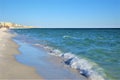 Waves from the ocean seethe and foam on the shore Royalty Free Stock Photo