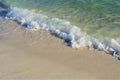 Waves from the ocean seethe and foam on the shore Royalty Free Stock Photo