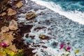 Waves of the Pacific ocean through Bougainvillea flowers. Uluwatu, Bali, Indonesia. Royalty Free Stock Photo