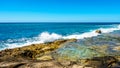 Waves of the Pacific Ocean crashing onto the rocky shoreline of the west coast of the island of Oahu Royalty Free Stock Photo