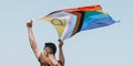 Waves a progress pride flag, web banner Royalty Free Stock Photo