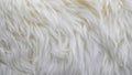 Waves of pure white wool Royalty Free Stock Photo