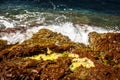 Waves and Red Rocks of Esterel Massif and Plants. French Riviera Royalty Free Stock Photo