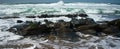 waves on rocks on the beach near salishan resort in portland oregon Royalty Free Stock Photo