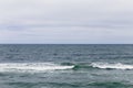 Waves Rolling in at Rockaway Beach, Pacifica, California on a Foggy Day