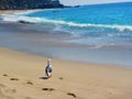 Waves washing ashore, aliso beach, dana point, california Royalty Free Stock Photo