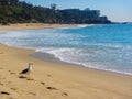 Waves washing ashore, aliso beach, dana point, california Royalty Free Stock Photo