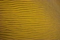 Waves sand texture