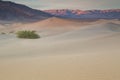 Waves of sand on top of the dunes. Sunrise. Desert in Mesquite F