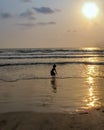 Sillhoutte image of a young girl playing in sea on a background of nice Sunset.