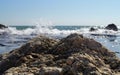 Seascape. Waves show. Summer, sea, sun, beach, holiday, fun - Black Sea, landmark attraction in Romania Royalty Free Stock Photo