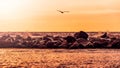 Waves smashing into the breakwater made of rocks in the evening sun. Royalty Free Stock Photo