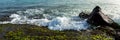 Waves on stone shore, panorama