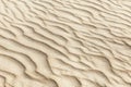 Waves on the surface of sand dunes. Space for text. Background