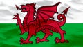 Waves Texture On Wales Flag