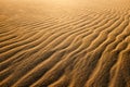 Waves of undulated sand dunes at sunset.