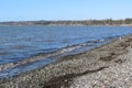 A windy winter day at a Pacific Northwest beach Royalty Free Stock Photo