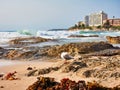 Waves Washing Over Ocean Rocks, Cronulla Beach, Sydney, Australia Royalty Free Stock Photo