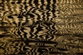 Waves on the water forming stripes similar to the texture of velvet, the alternation of gold and black stripes and waves Royalty Free Stock Photo