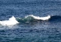 Waves with whiter caps on the blue ocean