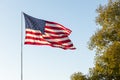 Waving American USA Flags on Flagpole On Background Of Blue Sky, Green tree, Template Royalty Free Stock Photo