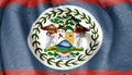 Flag of Belize Royalty Free Stock Photo
