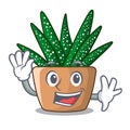 Waving character small zebra cactus plant on pot