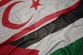 waving colorful flag of palestine and national flag of northern cyprus