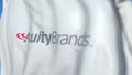 Waving flag with Acuity Brands logo, close-up. Editorial 3D rendering Royalty Free Stock Photo