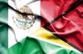 Waving flag of Guyana and Mexico