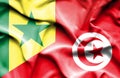 Waving flag of Tunisia and Senegal